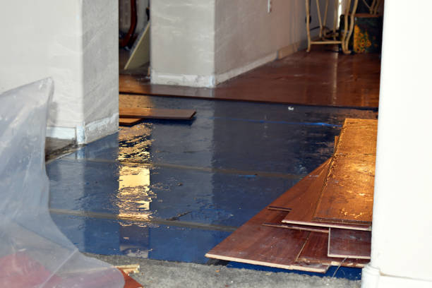 Professional Water Extraction technician working in Tipton, MO